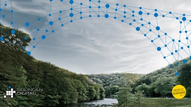 Ein Landschaftsbild mit vielen Bäumen, einem Fluss in der Mitte und darüber ist aus digitalen Punkten eine Brücke gespannt. 